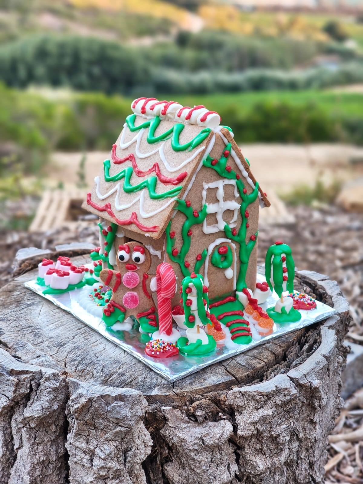 Assembled gingerbread house
